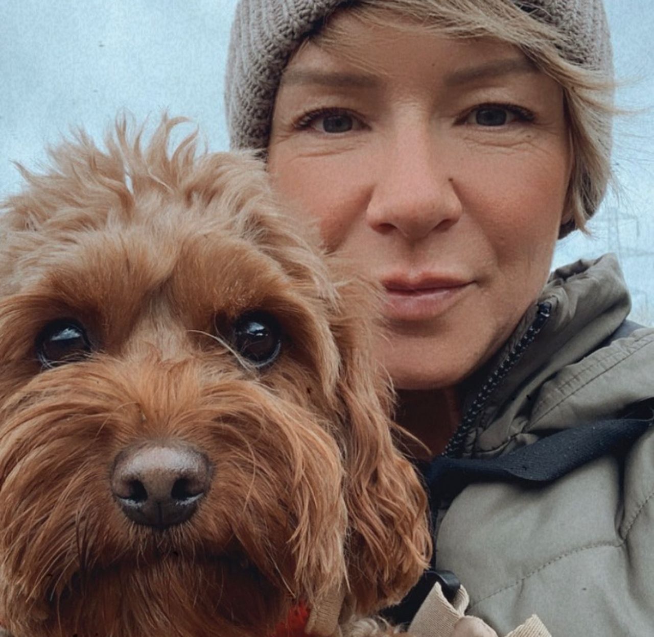 About The Happy Dog Company